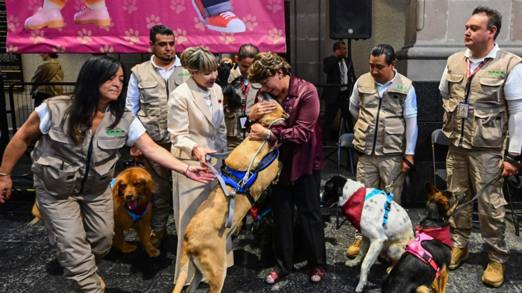 Zadrigman y La Ranita de Nogales respaldan la nueva Ley de Protección Animal en Edomex
