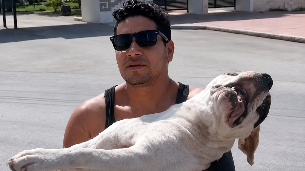 "Mi perro está muerto porque lo envenenaron": denuncian asesinato de Wakax en la Unidad Deportiva de Tulum