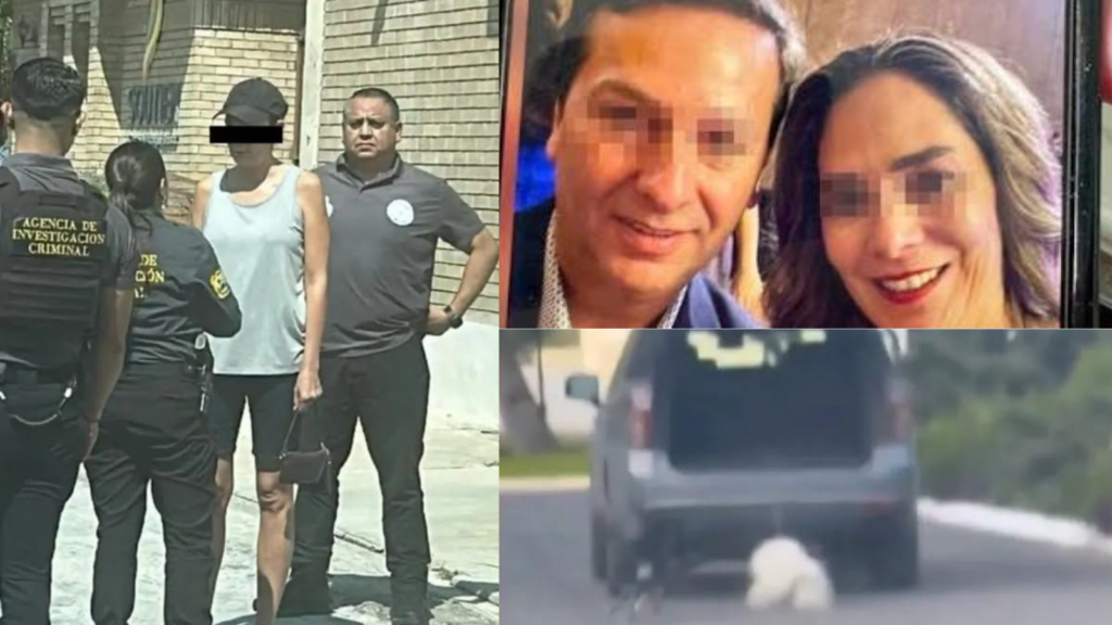 Coahuila: vinculan a proceso a Liliana “N” por presunto maltrato animal contra el perro “Rocky"