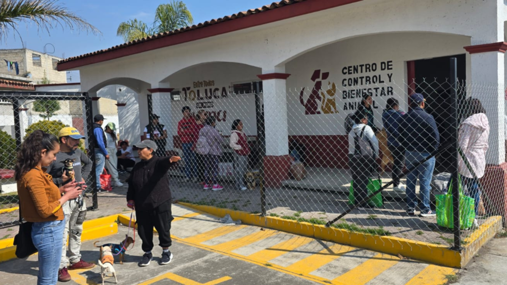 Bienestar animal en Toluca: aplican más de 7 mil esterilizaciones a mascotas de compañía