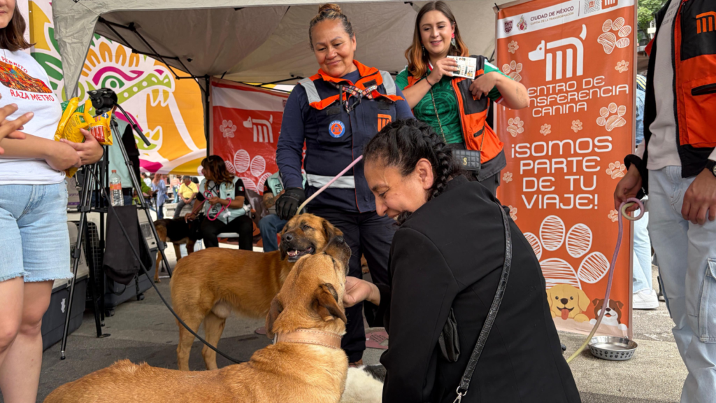 Brigada de Vigilancia Animal logra la adopción de perros y gatos en jornada mundialista en CDMX