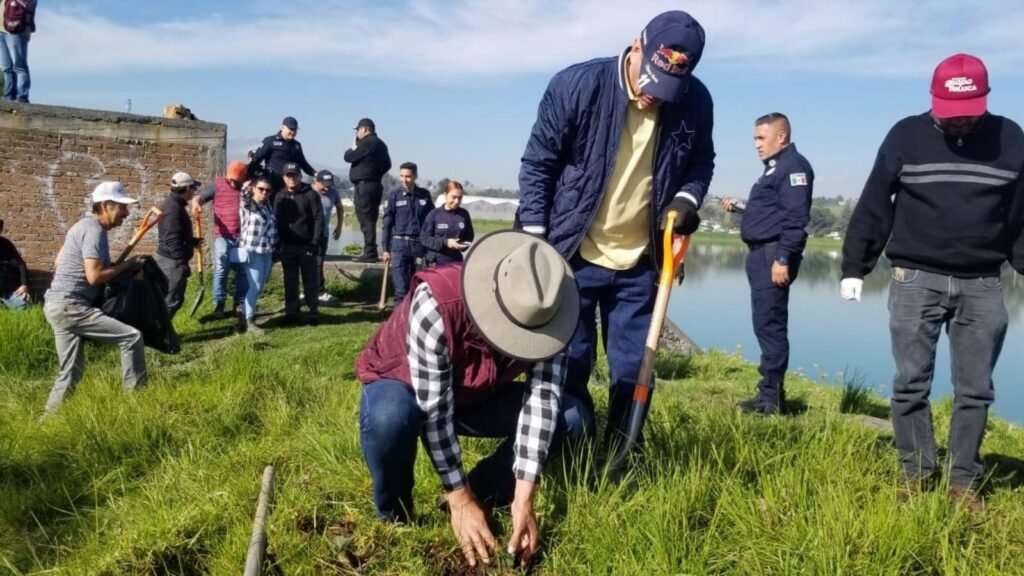 Toluca supera meta de reforestación con más de 135 mil árboles plantados