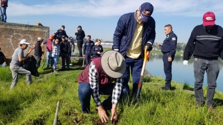 Toluca supera meta de reforestación con más de 135 mil árboles plantados