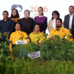 Arranca Jornada Nacional de Reforestación: buscan sembrar 6.6 millones de árboles; van contra tala ilegal