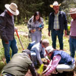 Detectan daños por plaga en bosque de Timilpan; Edomex aplica plan de restauración