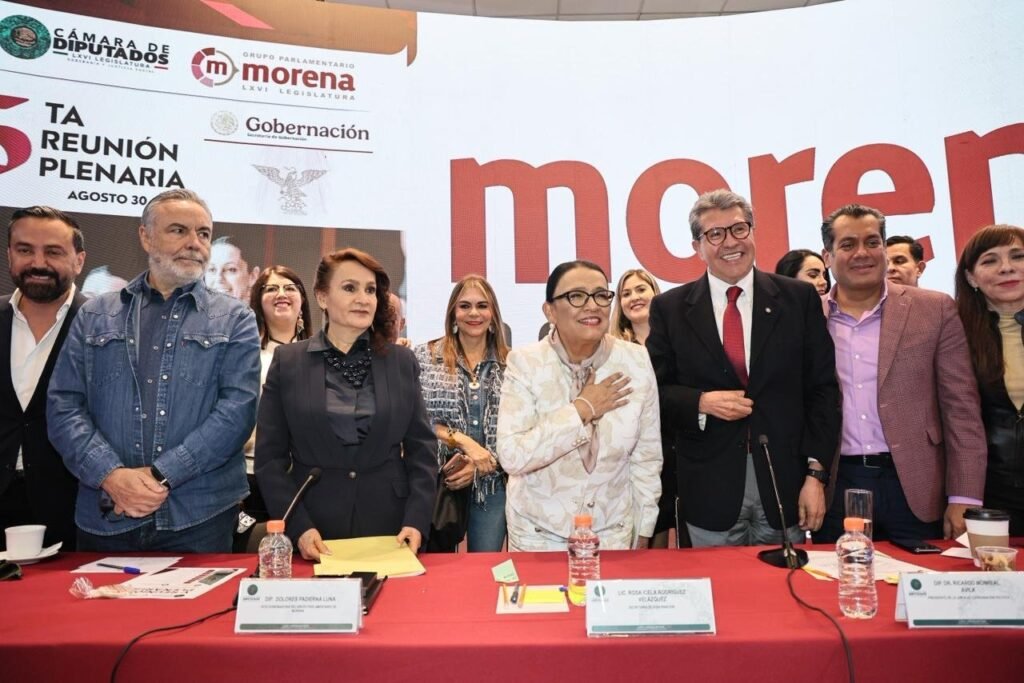 Rosa Icela Rodríguez, Segob, Congreso de Morena 2