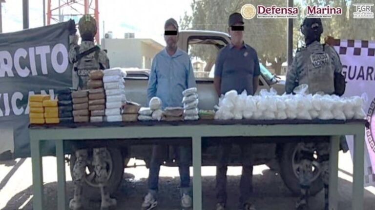 Aseguran más de 341 kilos de drogas en Sonora y Baja California