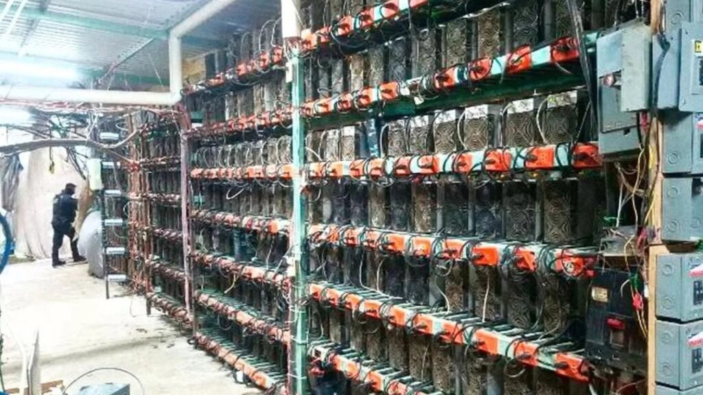 Desmantelan granja clandestina de criptomonedas en Puebla; aseguran 300 equipos