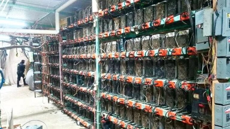 Desmantelan granja clandestina de criptomonedas en Puebla; aseguran 300 equipos