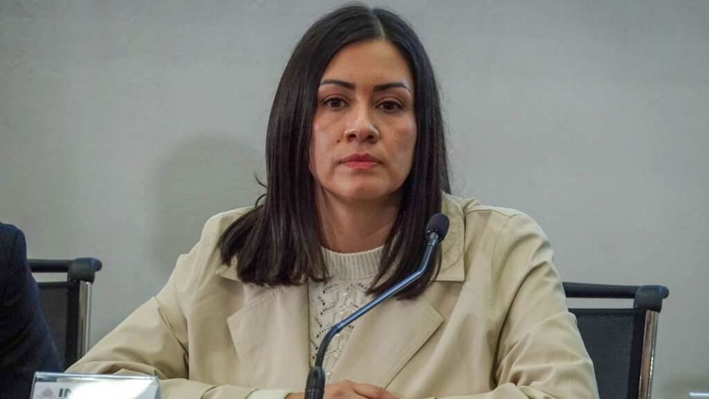 Blanca Cruz anuncia revisión de áreas clave del INE designadas durante gestión de Taddei