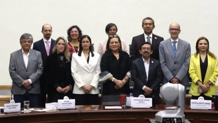 Taddei hace oficial su renuncia al INE; mañana definen a su relevo