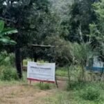Fiscal de Nayarit revela detalles de campo de exterminio del CJNG; van más 85 indicios de restos óseos