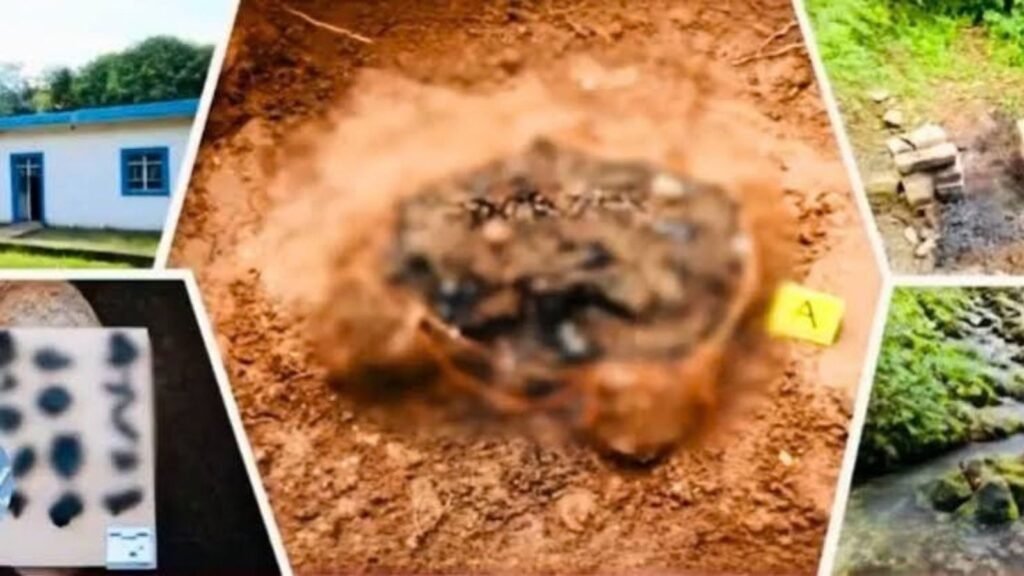 Nayarit: localizan predio utilizado como “centro de exterminio” por el CJNG