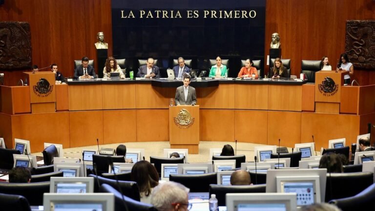 Roberto Velasco ante el Senado: México prioriza defensa de connacionales en EU