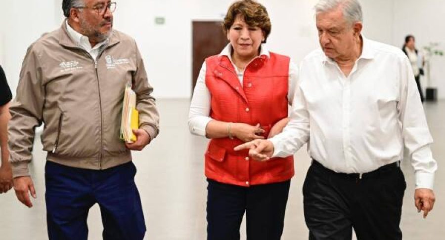 Delfina-Imss-Bienestar-600x400.jpg