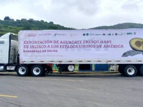 aguacate-65380be170eda-600x300.jpg
