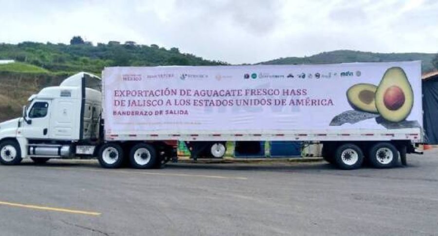 aguacate-65380be170eda-600x300.jpg