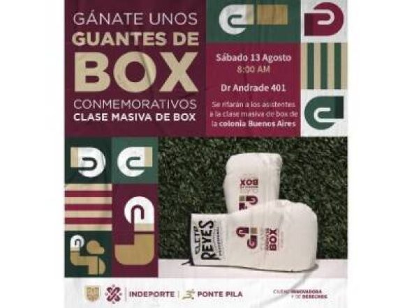 clasebox-65380fd9389de-600x300.jpg