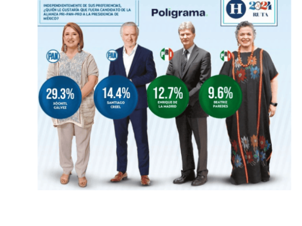 diseno-sin-titulo-3-65381ea6849df-600x450.png