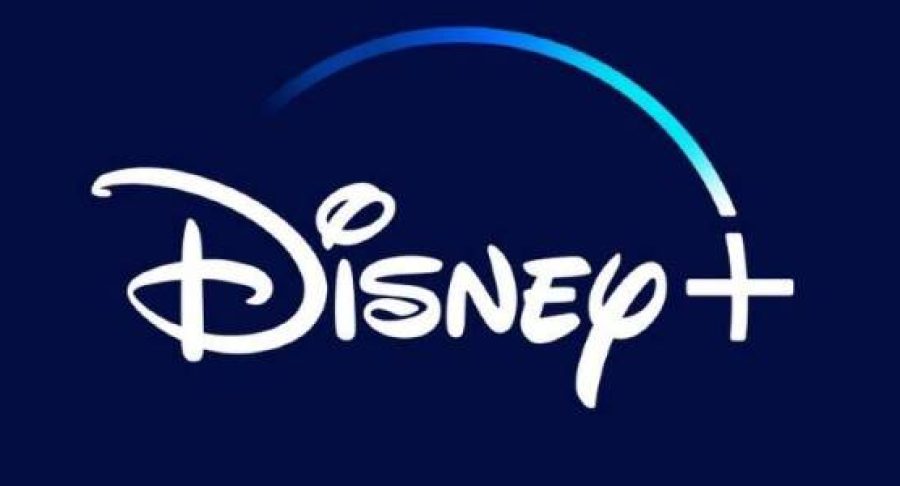 disney-plus-65380f98d4ec8-600x300.jpg