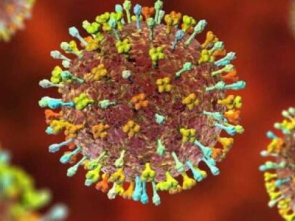 henipavirus-unam-65380f36add55-600x300.jpg