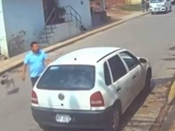 identifican-responsable-lanzar-perro-aceite-e1685470980673-65381bccaea97-600x486.jpg
