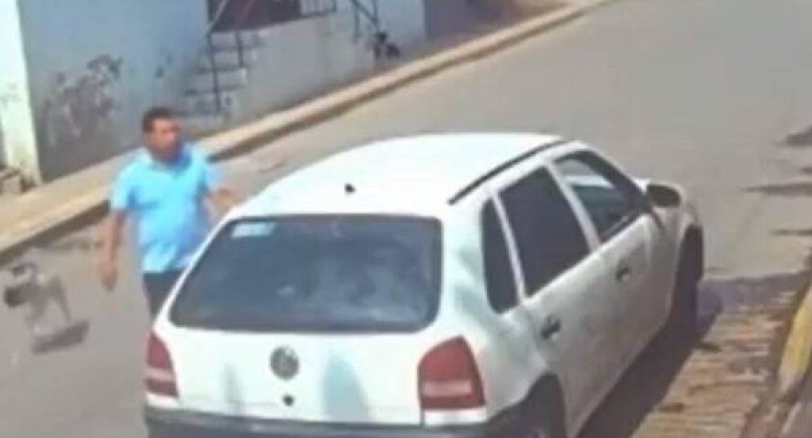 identifican-responsable-lanzar-perro-aceite-e1685470980673-65381bccaea97-600x486.jpg