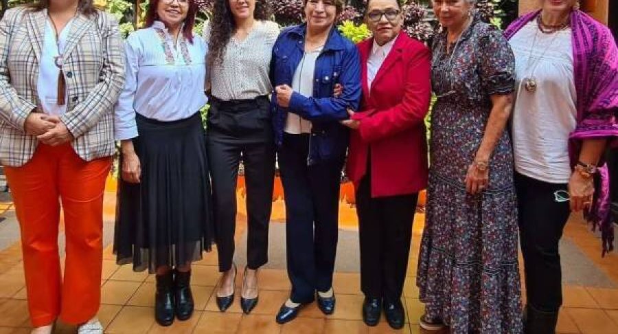 mujeres-gobierno-delfina-gomez-65381b66ee216-600x490.jpg