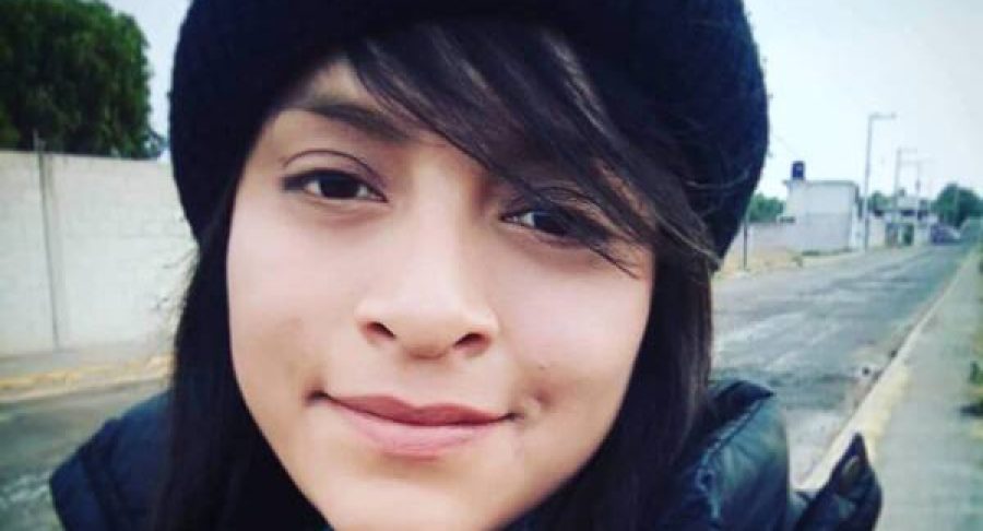 piden-sentencia-feminicidio-karina-garcia-no-reducida-65381dd719742-600x397.jpg