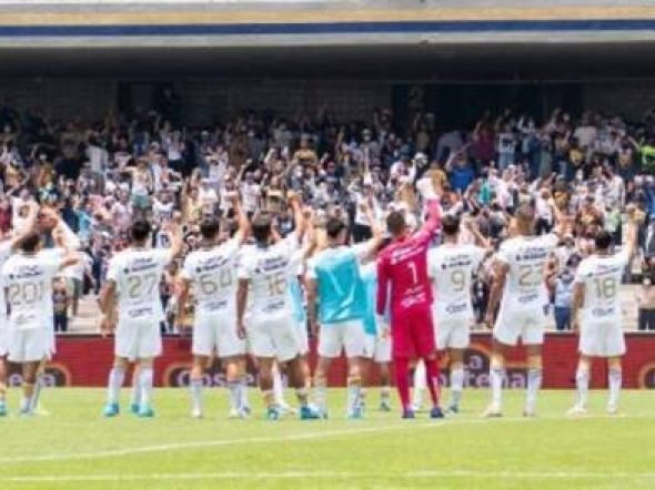 pumas-65380c838b5be-600x294.jpg