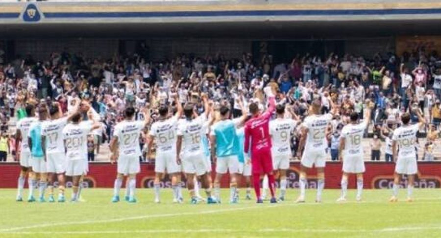pumas-65380c838b5be-600x294.jpg