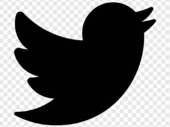 twitter-logo-653810fa1189b-600x300.jpg