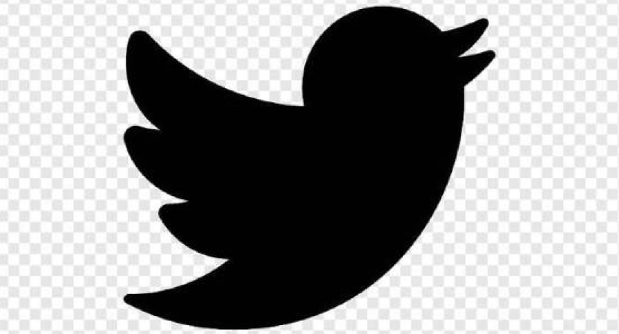 twitter-logo-653810fa1189b-600x300.jpg